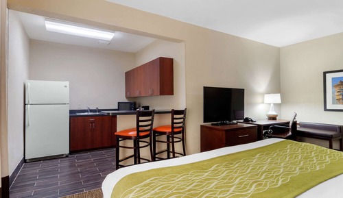 Suite, 1 King Bed with Sofa bed, Non Smoking (Efficiency)