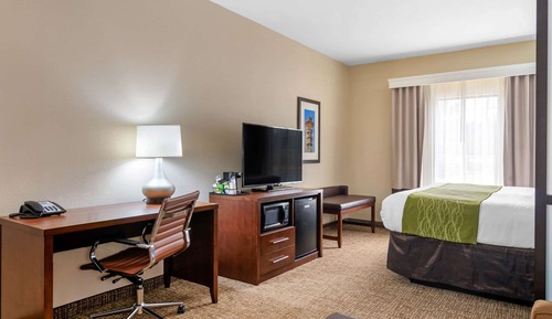 Suite, 1 King Bed with Sofa bed, Non Smoking