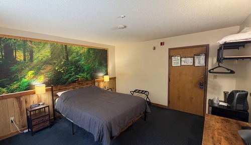 Premium Room, 1 Queen Bed