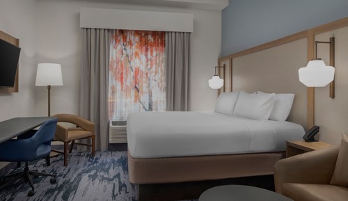 Room, 1 King Bed with Sofa bed