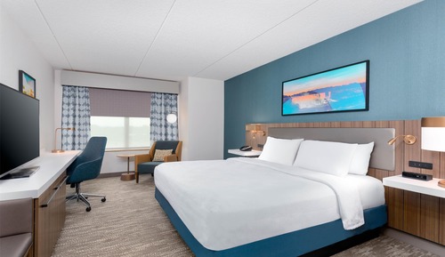 Room, 1 King Bed