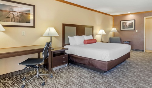 Standard Room, 1 King Bed, Non Smoking, Refrigerator & Microwave