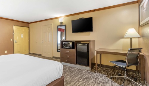 Standard Room, 1 King Bed, Accessible, Refrigerator & Microwave