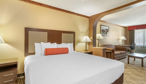 Standard Room, 1 King Bed, Non Smoking, Refrigerator & Microwave (with Single Sofabed;Larger Room)