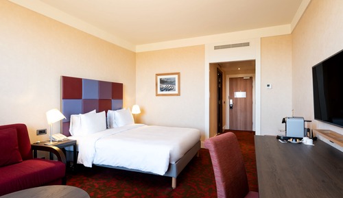 Standard Room, 1 Queen Bed, Accessible