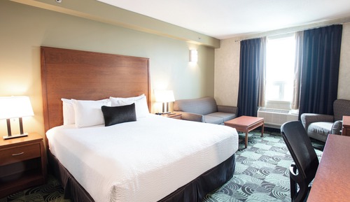 Standard Room, 1 King Bed with Sofa bed