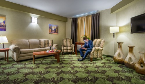 Business Suite, 1 King Bed with Sofa bed