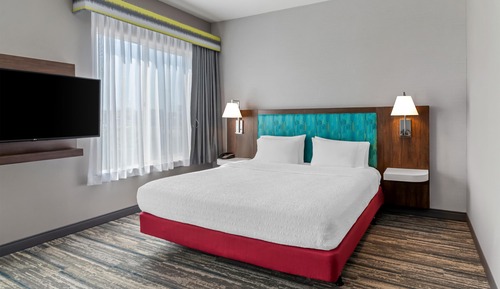 Room, 1 King Bed, Non Smoking- Roll In Shower