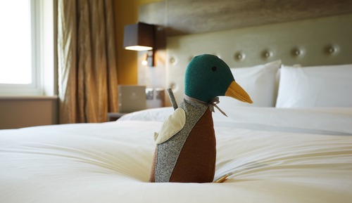 Superior Double or Twin Room