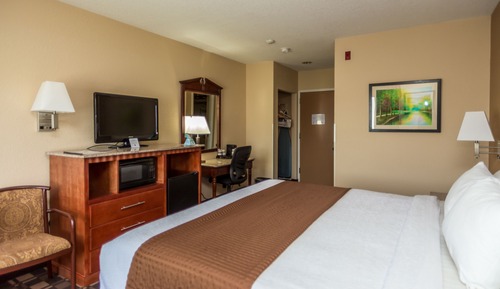 Standard Room, 1 King Bed, Non Smoking, Microwave (Pet Friendly)