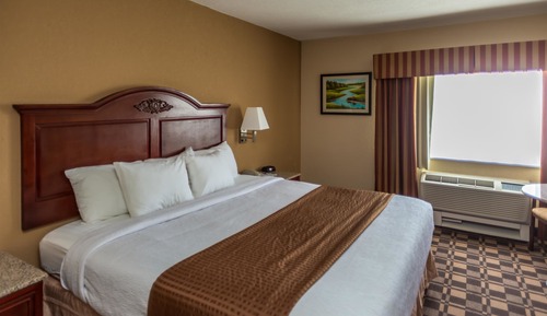 Standard Room, 1 King Bed, Accessible, Refrigerator & Microwave