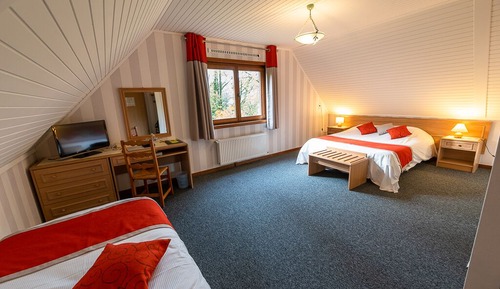 Comfort Room, 1 Queen Bed