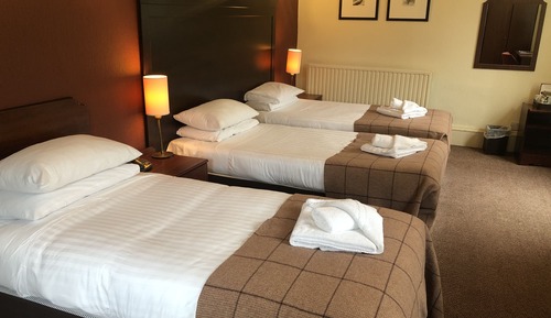 Classic Triple Room with Mountain View