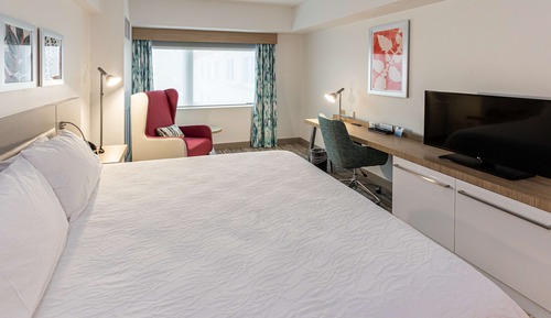 Room, 1 King Bed, Accessible (Roll In Shower)