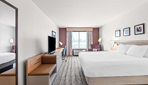 One king bed evolution room