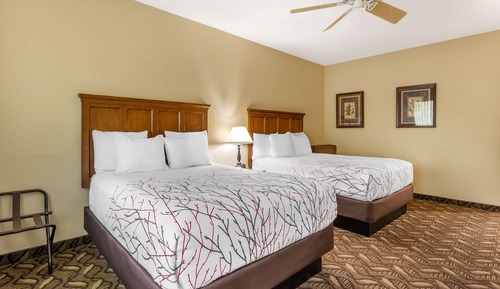 Standard Room, 2 Queen Beds, Refrigerator & Microwave, River View (River View)