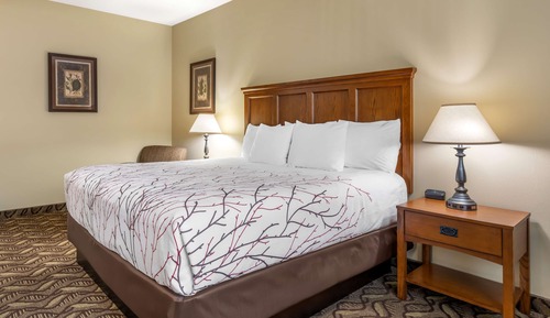 Standard Room, 1 King Bed, Refrigerator & Microwave, River View (River View)