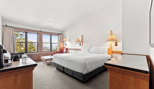 Deluxe Lodge Room, 1 King Bed, Mountain View (Not Pet Friendly)