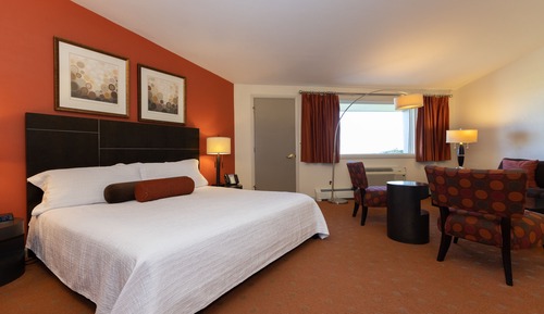 Deluxe King Lodge Room