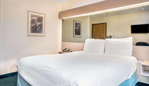 Studio Suite, 1 Queen Bed, Accessible, Non Smoking