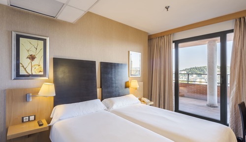 Superior Twin Room (Cathedral View)