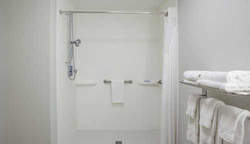 Standard Room, 1 Queen Bed, Roll-in Shower (Mobility Accessible)