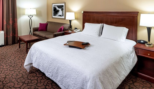 One King and One Sofa Bed