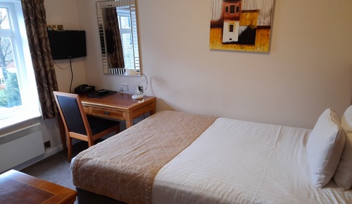 Executive Single Room, 1 Twin Bed