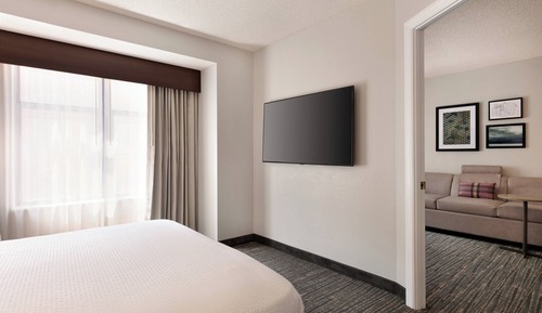 Suite, 1 Bedroom, City View (Mobility/Hearing Access, Roll-In Shwr)