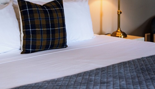 Room, 1 King Bed with Sofa bed