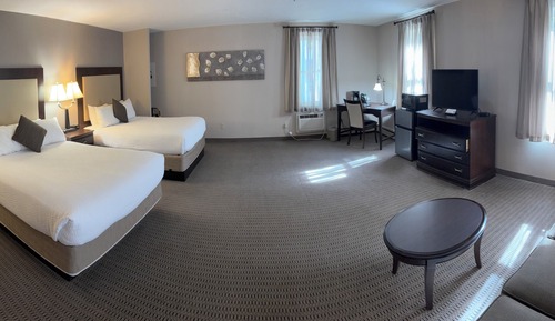 Single Room, Multiple Beds, Roll-in Shower