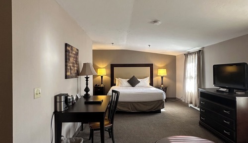 Standard Single Room, 1 King Bed with Sofa bed