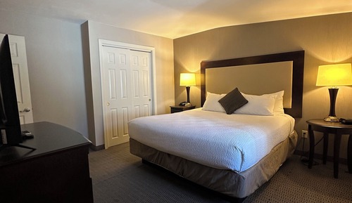 Standard Suite, 1 King Bed with Sofa bed, Kitchen