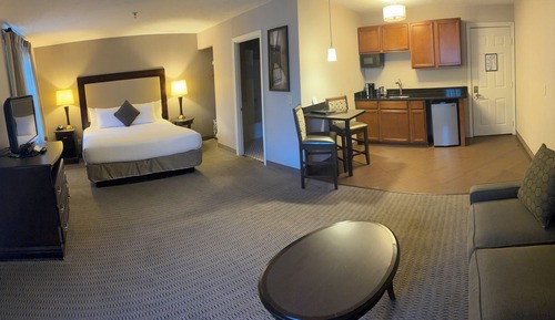 Standard Single Room, 1 King Bed with Sofa bed, Kitchenette