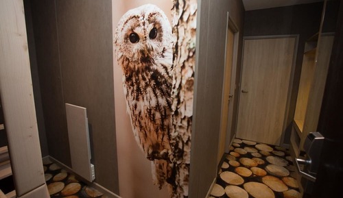 Family Room (5 people / 5 personnes)