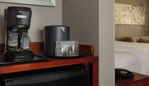 Suite, 1 King Bed with Sofa bed