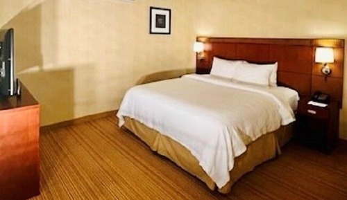 Room, 1 King Bed with Sofa bed (Hearing Accessible)