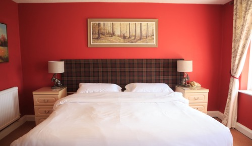 Standard Room, 1 King Bed, Valley View