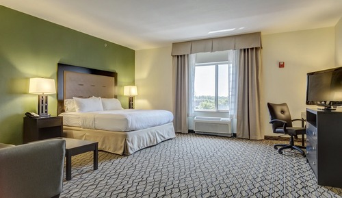Standard Room, 1 King Bed, Accessible (Communications, Accessible Tub)