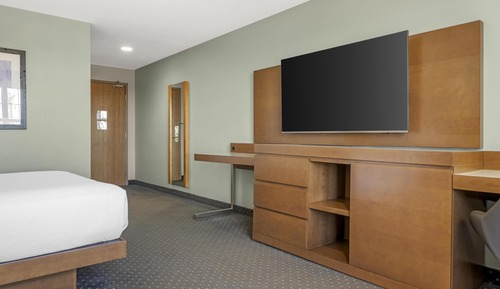 Standard Room, 1 Queen Bed, Non Smoking, Refrigerator (with Sofabed)