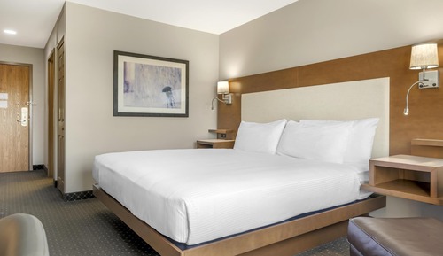 Standard Room, 1 King Bed, Non Smoking, Refrigerator