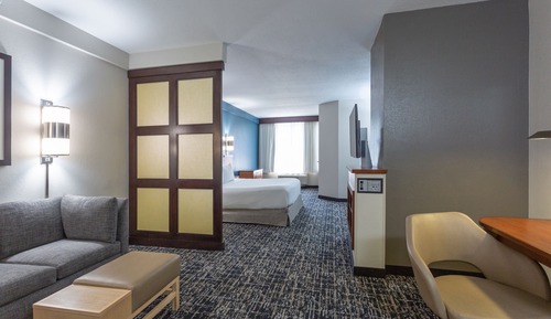 Room, 1 King Bed, Accessible, Bathtub