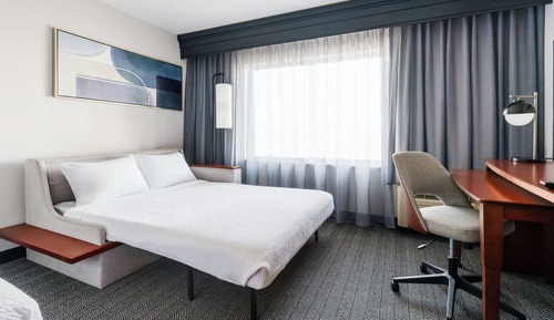 Room, 1 King Bed with Sofa bed