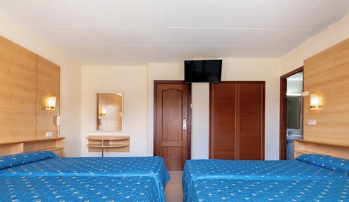 Triple Room ( 3 adults)