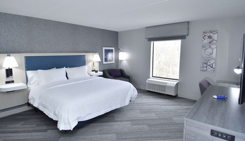 Room, 1 King Bed, Accessible (Roll-In Shower)