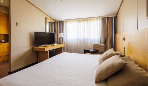 Superior Room, 1 Double Bed
