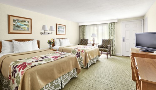 Standard Room, 2 Double Beds