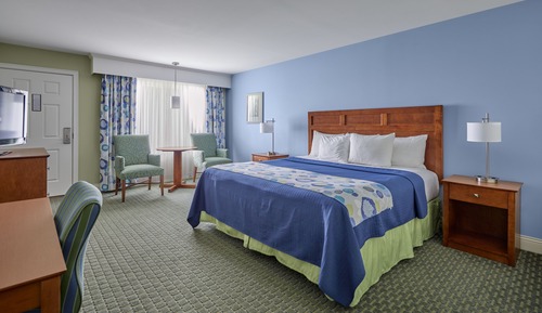 Premium Room, 1 King Bed