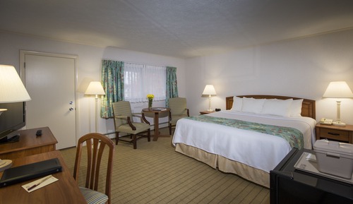 Standard Room, 1 King Bed