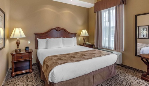 Suite, 1 King Bed with Sofa bed, Non Smoking, Jetted Tub